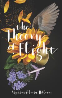 Designing the Cover for The Theory of Flight